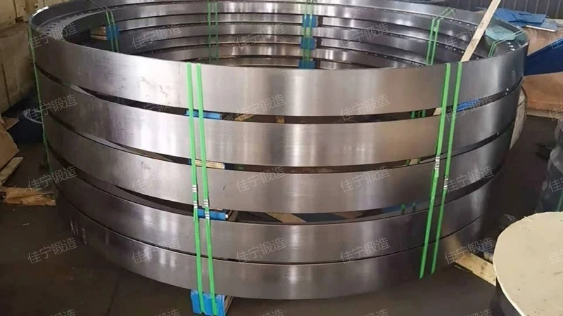 Flange ring forging parts