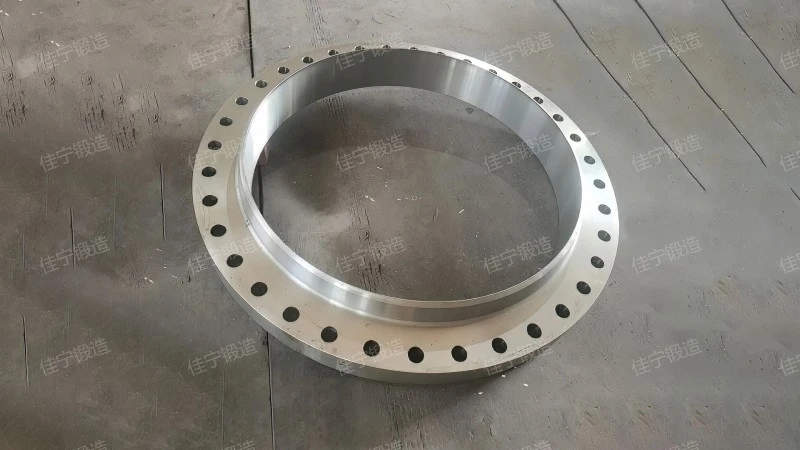 Flange ring forging parts