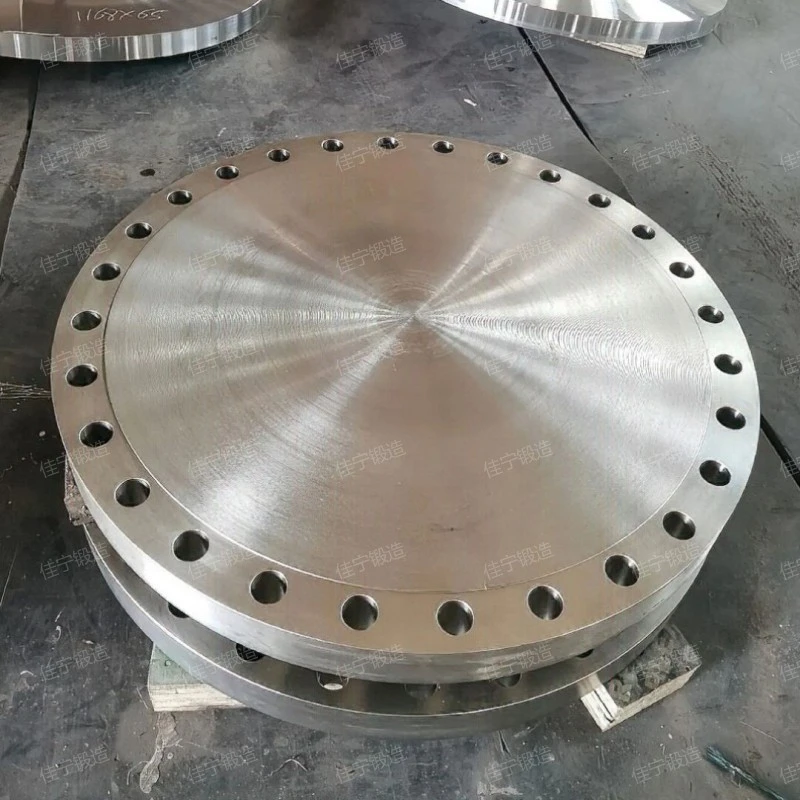 Blind flange with holes