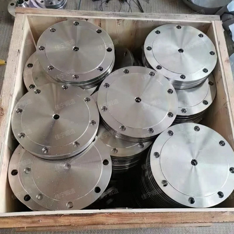 Pipeline blind flange