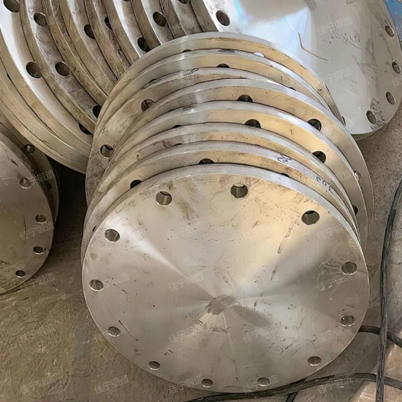 Carbon steel blind plate