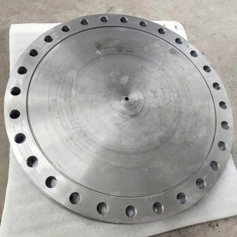 Stainless steel blind flange