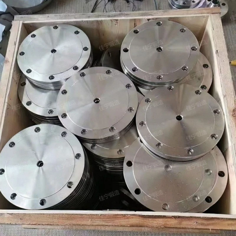 316 blind plate
