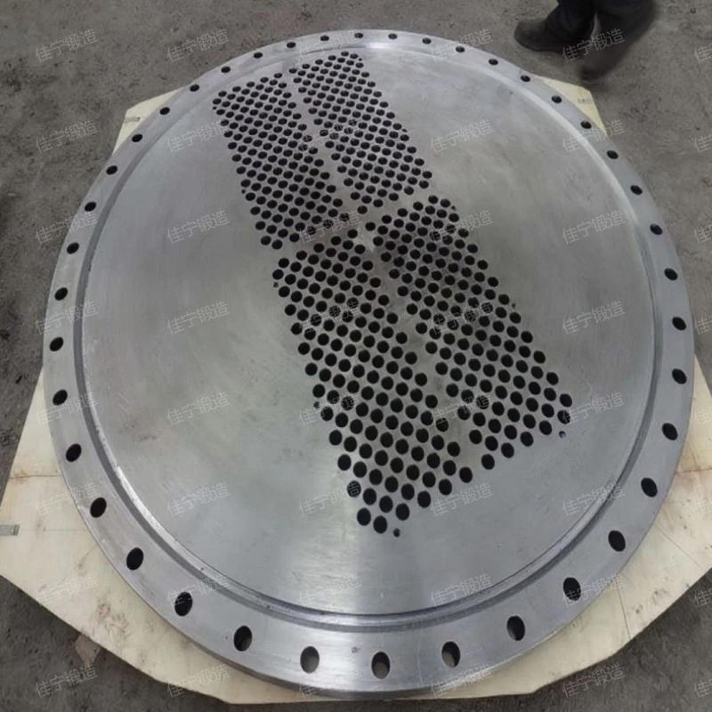 RJ blind plate