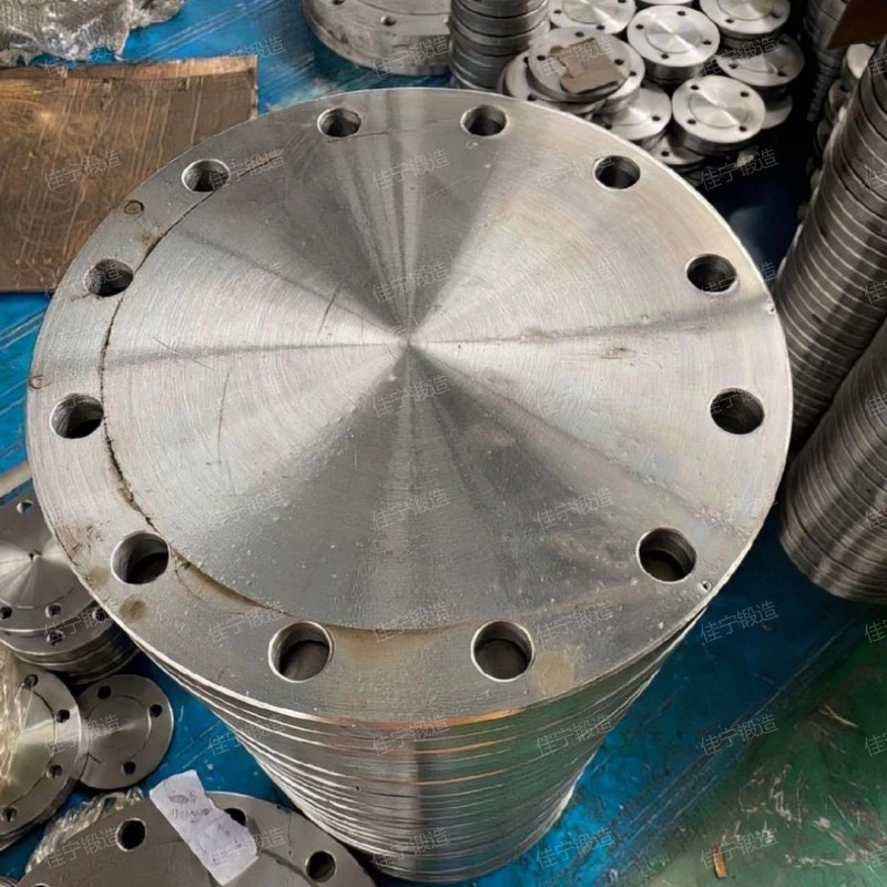 Mold steel blind flange