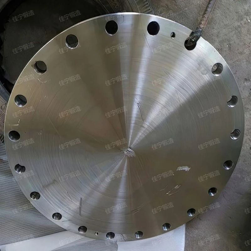 Forged parts of mold steel disc and cake