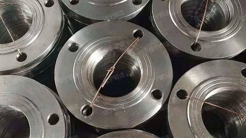 Ordinary carbon steel flange