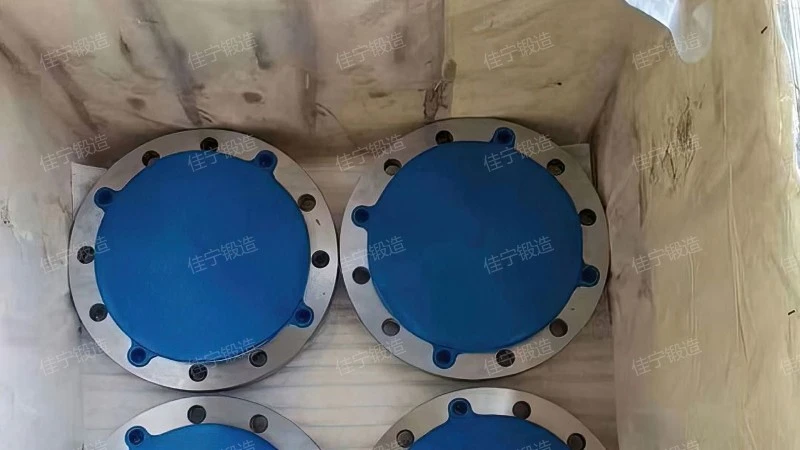 Stainless steel strip diameter flat welding flange