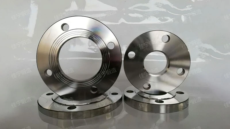 Threaded bolt hole flange ring