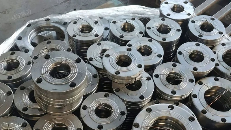 Threaded bolt hole flange cover