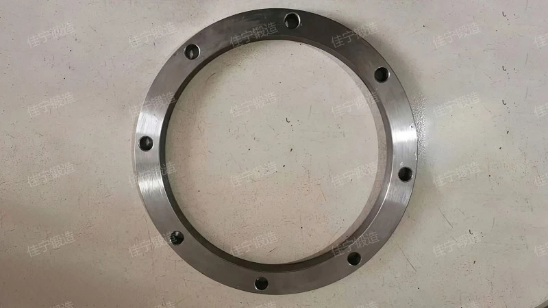Threaded protruding flange plate