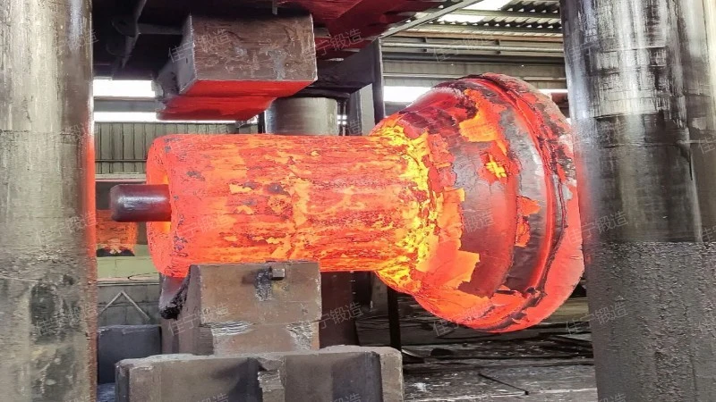 Shaped cylinder forging parts